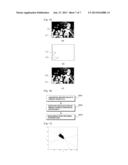 CAMERA MODULE AND METHOD FOR DRIVING THE SAME diagram and image