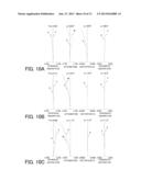 ZOOM LENS AND IMAGE PICKUP APPARATUS HAVING THE SAME diagram and image