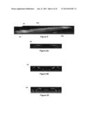 Method of Controlled Pulse Driving of a Stacked PZT Bender Bar for Dipole     Acoustic Radiation diagram and image