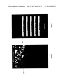 SYSTEMS, PROCESSES, AND COMPUTER PROGRAM PRODUCTS FOR CREATING     GEO-LOCATION-BASED VISUAL DESIGNS AND ARRANGEMENTS ORIGINATING FROM     GEO-LOCATION-BASED IMAGERY diagram and image