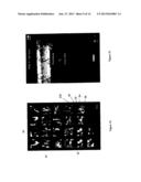 SYSTEMS, PROCESSES, AND COMPUTER PROGRAM PRODUCTS FOR CREATING     GEO-LOCATION-BASED VISUAL DESIGNS AND ARRANGEMENTS ORIGINATING FROM     GEO-LOCATION-BASED IMAGERY diagram and image