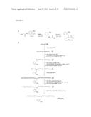 COLLAGEN MIMETIC PEPTIDES FOR TARGETING COLLAGEN STRANDS FOR IN VITRO AND     IN VIVO IMAGING AND THERAPEUTIC USE diagram and image