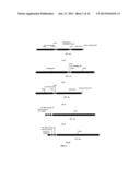 ANTICANCER FUSION PROTEIN diagram and image