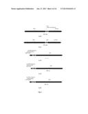 ANTICANCER FUSION PROTEIN diagram and image