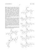 Antiviral Compounds Composed of Three Aligned Aryl Moieties to Treat     Diseases such as Hepatitis C diagram and image