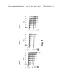 REVERSIBLY INACTIVATED ACIDIFIED PLASMIN COMPOSITION diagram and image