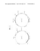 DEIMMUNIZED ANTI C-MET HUMANIZED ANTIBODIES AND USES THEREOF diagram and image