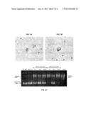 TREATMENT OF CANCER diagram and image