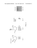 USE OF CAMELID-DERIVED VARIABLE HEAVY CHAIN VARIABLE REGIONS (VHH)     TARGETING HUMAN CD18 AND ICAM-1 AS A MICROBICIDE TO PREVENT HIV-1     TRANSMISSION diagram and image