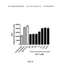 STAPHYLOCOCCUS AUREUS SPECIFIC ANTIBODIES AND USES THEREOF diagram and image