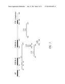 ANTIBODIES TO THE B12-TRANSCOBALAMIN RECEPTOR diagram and image