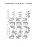 ANTIBODIES TO THE B12-TRANSCOBALAMIN RECEPTOR diagram and image