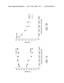 ANTIBODIES TO THE B12-TRANSCOBALAMIN RECEPTOR diagram and image