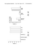 ANTIBODIES TO THE B12-TRANSCOBALAMIN RECEPTOR diagram and image