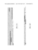 ANTIBODIES TO THE B12-TRANSCOBALAMIN RECEPTOR diagram and image