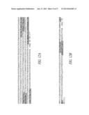 ANTIBODIES TO THE B12-TRANSCOBALAMIN RECEPTOR diagram and image