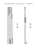 ANTIBODIES TO THE B12-TRANSCOBALAMIN RECEPTOR diagram and image