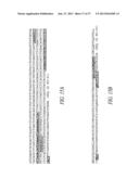 ANTIBODIES TO THE B12-TRANSCOBALAMIN RECEPTOR diagram and image