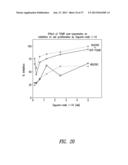 ANTIBODIES TO THE B12-TRANSCOBALAMIN RECEPTOR diagram and image