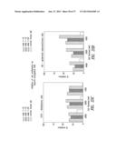 ANTIBODIES TO THE B12-TRANSCOBALAMIN RECEPTOR diagram and image