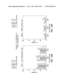 ANTIBODIES TO THE B12-TRANSCOBALAMIN RECEPTOR diagram and image