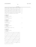 ANTIBODIES TO THE B12-TRANSCOBALAMIN RECEPTOR diagram and image