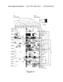 GENETIC SIGNATURES IN HIV-1 SUBTYPE C ENVELOPE GLYCOPROTEINS diagram and image