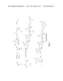 ENHANCED IMMUNOGENICITY OF TUMOR ASSOCIATED ANTIGENS BY ADDITION OF     ALPHAGAL EPITOPES diagram and image