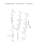 ENHANCED IMMUNOGENICITY OF TUMOR ASSOCIATED ANTIGENS BY ADDITION OF     ALPHAGAL EPITOPES diagram and image