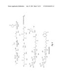 ENHANCED IMMUNOGENICITY OF TUMOR ASSOCIATED ANTIGENS BY ADDITION OF     ALPHAGAL EPITOPES diagram and image