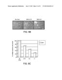 Methods and Compositions for Treatment of Hematologic Cancers diagram and image