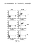 Methods and Compositions for Treatment of Hematologic Cancers diagram and image