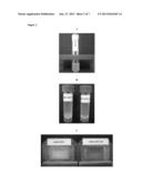 TELODENDRIMER NANODISCS WITHOUT APOLIPOPROTEIN diagram and image