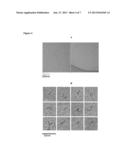 TELODENDRIMER NANODISCS WITHOUT APOLIPOPROTEIN diagram and image