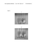 TELODENDRIMER NANODISCS WITHOUT APOLIPOPROTEIN diagram and image