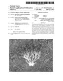 LETTUCE VARIETY 79-69 RZ  TRIPLEX RZ  diagram and image