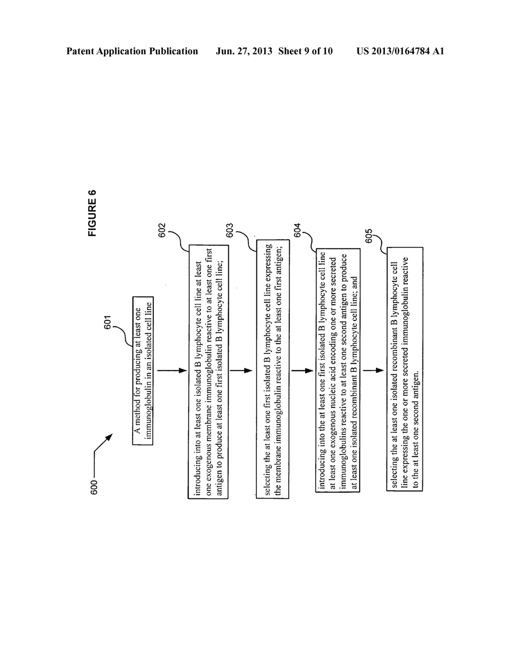 Compositions and methods including B lymphocyte cell line expressing     membrane immunoglobulin different from secreted immunoglobulin - diagram, schematic, and image 10