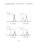 FUCOSYLATION-DEFICIENT CELLS diagram and image