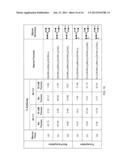 FUCOSYLATION-DEFICIENT CELLS diagram and image