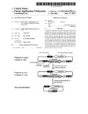 SELF-DELETING PLASMID diagram and image