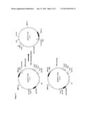 SELF-DELETING PLASMID diagram and image