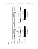 SELF-DELETING PLASMID diagram and image