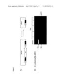 SELF-DELETING PLASMID diagram and image