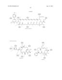 PROCESSING BIOMASS diagram and image