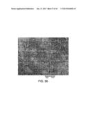 PROCESSING BIOMASS diagram and image