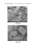 PROCESSING BIOMASS diagram and image