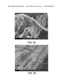 PROCESSING BIOMASS diagram and image