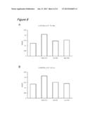 METHOD FOR CULTURING CELLS IN A SYSTEM COMPRISING LAMININ-5 diagram and image