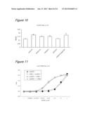 METHOD FOR CULTURING CELLS IN A SYSTEM COMPRISING LAMININ-5 diagram and image