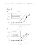 METHOD FOR CULTURING CELLS IN A SYSTEM COMPRISING LAMININ-5 diagram and image